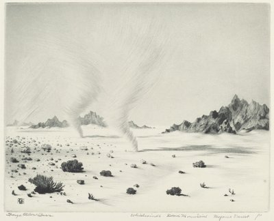 Wervelwinden, dode bergen, Mojave-woestijn, Californië door George Elbert Burr