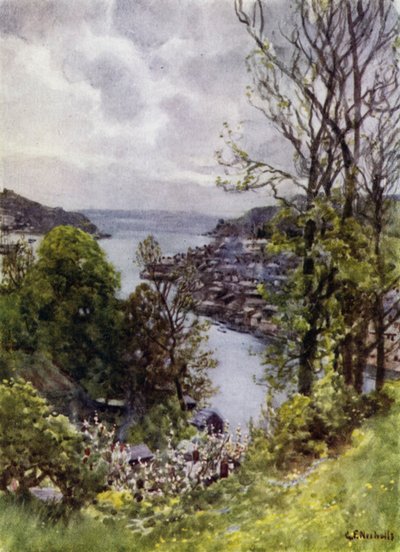 Fowey door George Franck Nicholls