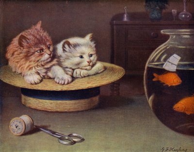 Kijken door George H. Hughes