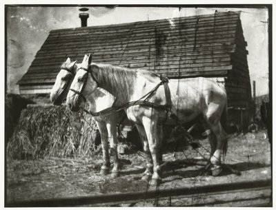Paarden aan de Cruquiusweg door George Hendrik Breitner
