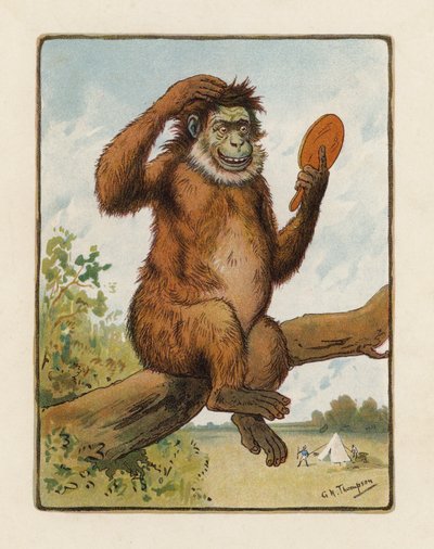 De Aap door George Henry Thompson