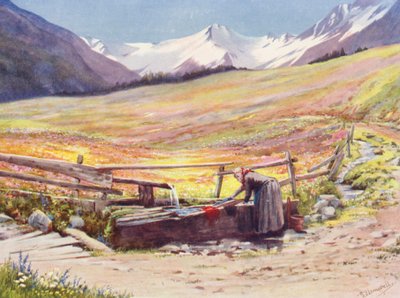 Vroege-juni velden voorbij Praz de Fort in de Val Ferret, ondersteund door de Groupe du Grand Saint-Bernard en du Grand Golliaz door George Jackson Flemwell