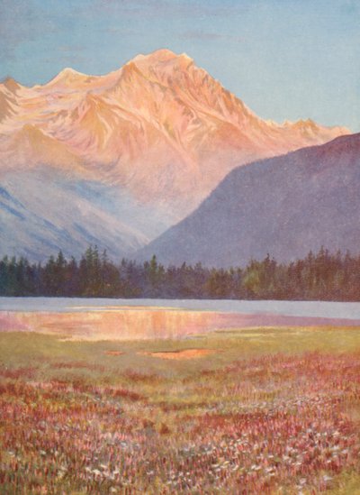 Avond tussen de velden van roze Bistort bij Lac Champex; zonsondergang op de Grand Combin, juli door George Jackson Flemwell