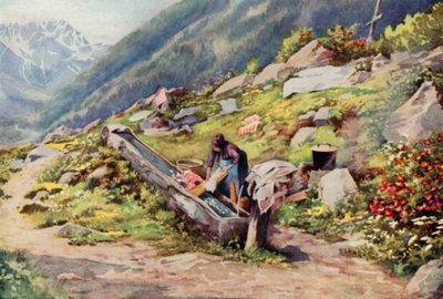In de Vallei van Chamonix door George Jackson Flemwell