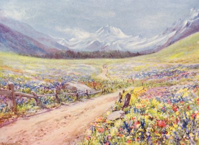 Juniweiden van Salvia, Lychnis, enz., in de Val Ferret, net voor aankomst in het dorp Praz de Fort door George Jackson Flemwell