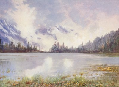 Lac Champex in wolkenland eind mei; Caltha palustris en Primula farinosa aan de waterkant door George Jackson Flemwell
