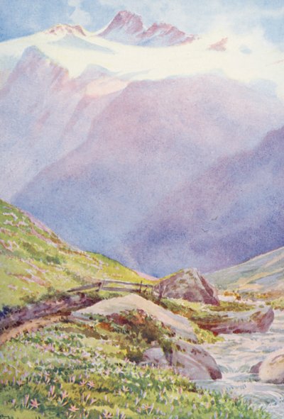 De herfstkrokus in de velden nabij het dorp Trient, met de Aiguille du Tour op de achtergrond, september door George Jackson Flemwell