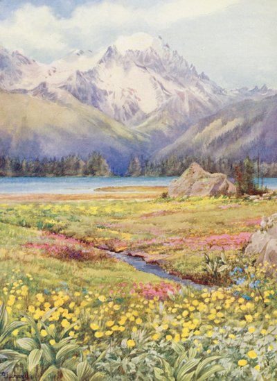 De bovenste velden van Champex begin juni, met de Grand Combin in de verte door George Jackson Flemwell