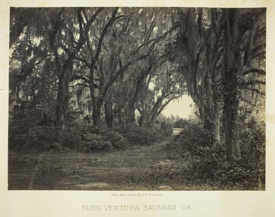 Buen-Ventura Savannah, Ga. door George N. Barnard