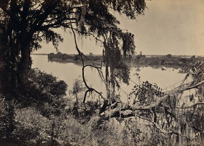 [Savannah River, nabij Savannah, Georgia] door George N. Barnard