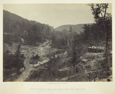 Whiteside Valley onder de brug door George N. Barnard