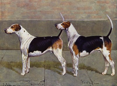 De Puckeridge Foxhounds Kolonist en Kardinaal door George Paice