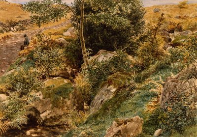 Herfst in de heuvels van Wales door George Price Boyce, RWS door George Price Boyce