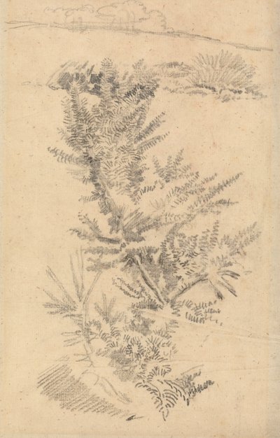 Studie van bomen, enz., in een weide door George Richmond