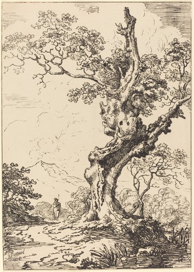 Studie van een oude eik, water rechts, een man links door George Samuel