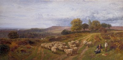 Uitgestrekt landschap met een herder en zijn kudde schapen, Surrey door George Shalders