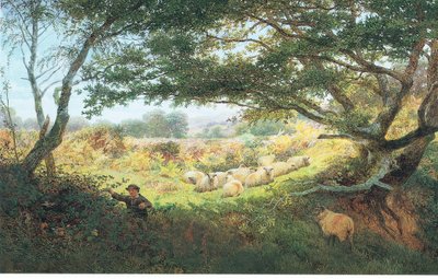 De herdersjongen door George Shalders
