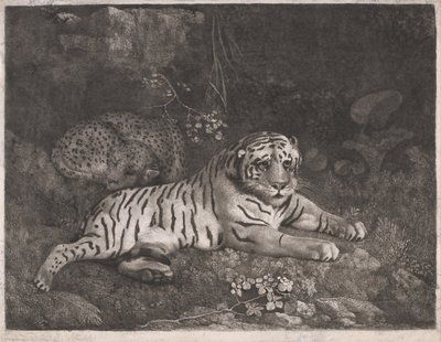 Een tijger en een slapend luipaard door George Stubbs