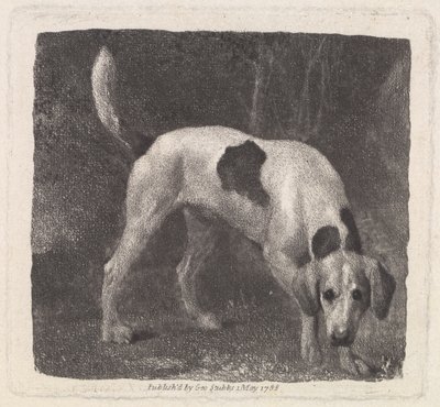 Hond (Een Foxhound op het Spoor) gegraveerd door de kunstenaar, uitgegeven 1788 door George Stubbs