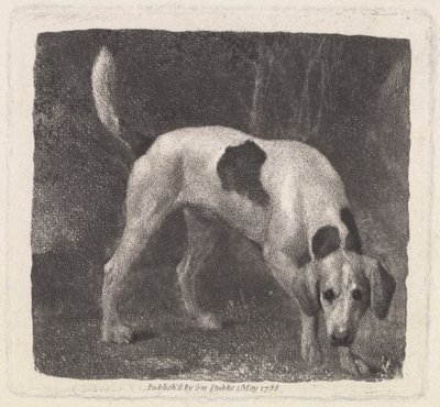 Hond [Een Vosshond op het Spoor] door George Stubbs