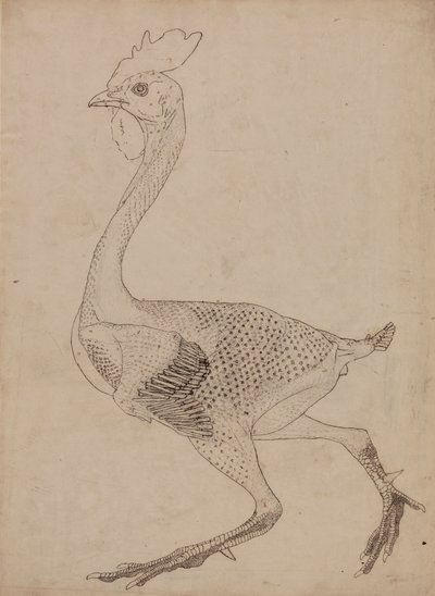 Kippenlichaam, zijaanzicht door George Stubbs