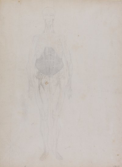 Menselijke Figuur, Vooraanzicht (Grotendeels in omtrek) door George Stubbs