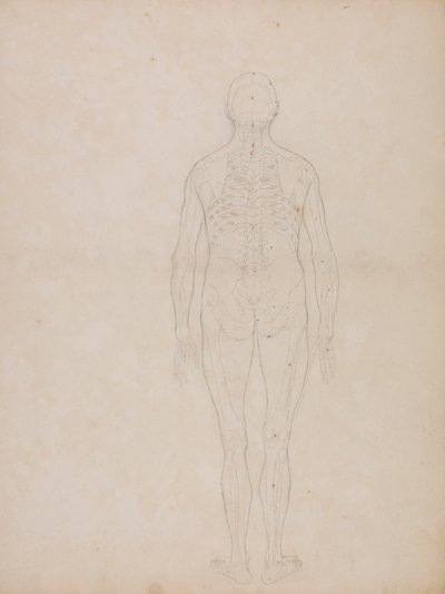 Menselijke figuur, achteraanzicht door George Stubbs