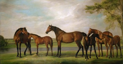 Merries en veulens verstoord door een naderende storm, 1764-66 door George Stubbs