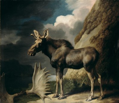 Eland, 1770 door George Stubbs