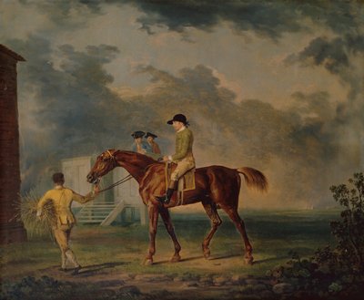 Sir Salomon, Een Bruin Renpaard met J.Singleton, Newmarket door George Stubbs