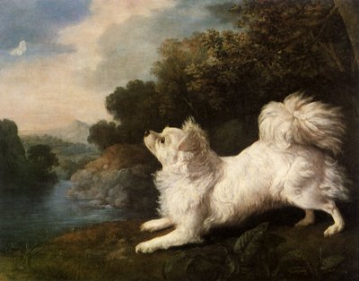 Spaniël van schilder Cosway die een vlinder achterna zit, 1775 door George Stubbs