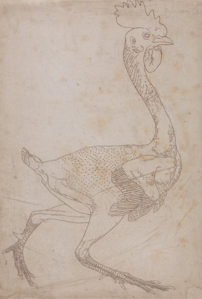 Studie van een Kip, Lateraal Aanzicht, uit Een Vergelijkende Anatomische Expositie van de Structuur van het Menselijk Lichaam met die van een Tijger en een Gewone Kip, 1795-1806 door George Stubbs
