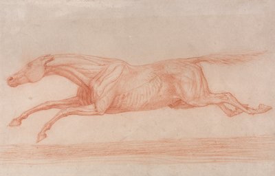 Studie van een renpaard in actie:  Galopperen naar links, een semi-anatomische studie, met gevilde huid om de werking van spieren te tonen door George Stubbs