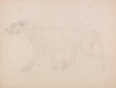 Studie van een Tijger, Laterale Weergave, uit Een Vergelijkende Anatomische Expositie van de Structuur van het Menselijk Lichaam met die van een Tijger en een Gewone Vogel, 1795-1806 door George Stubbs