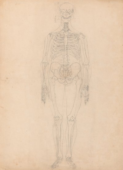 Studie van het Menselijk Lichaam, Anterieure Weergave, Diagram voor Sleutel naar Tabel I, uit Een Vergelijkende Anatomische Expositie van de Structuur van het Menselijk Lichaam met die van een Tijger en een Gewone Vogel, c.1795-1806 door George Stubbs