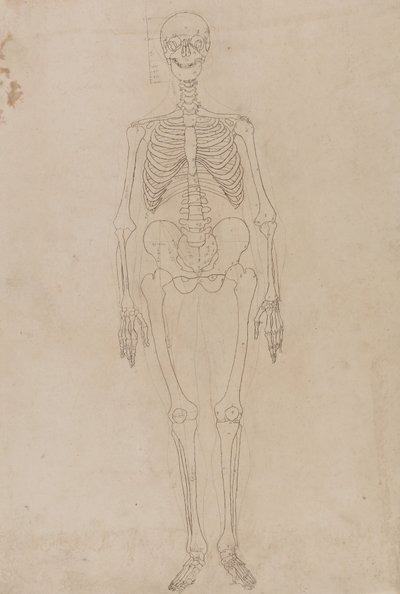 Studie van het menselijk lichaam, vooraanzicht, uit Een Vergelijkende Anatomische Expositie van de Structuur van het Menselijk Lichaam met die van een Tijger en een Gewone Vogel, c.1795-1806 door George Stubbs