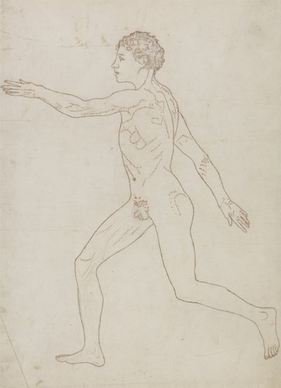 Studie van de Menselijke Figuur, Lateraal Aanzicht, uit 