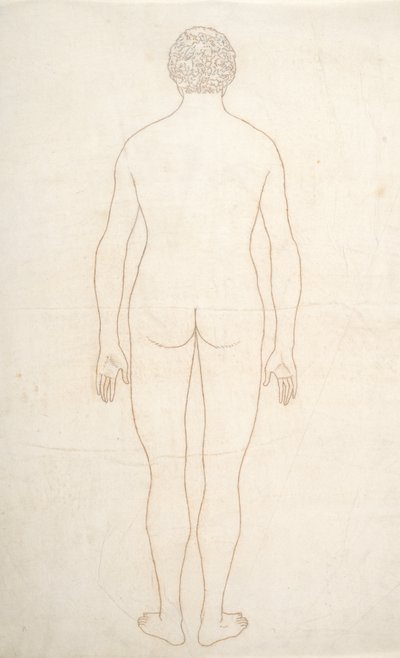 Studie van het menselijk lichaam, achteraanzicht, uit Een Vergelijkende Anatomische Expositie van de Structuur van het Menselijk Lichaam met die van een Tijger en een Gewone Vogel, c.1795-1806 door George Stubbs