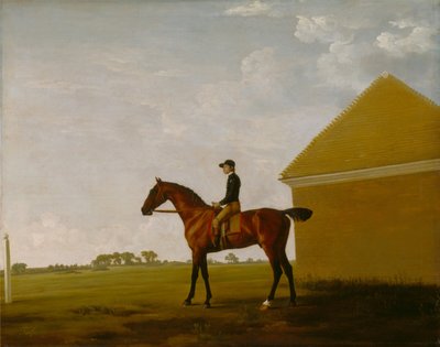 Turf, met Jockey omhoog, op Newmarket door George Stubbs