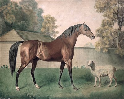 Dungannon door George Townley Stubbs