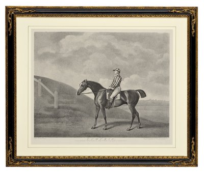 Pompoen door George Townley Stubbs
