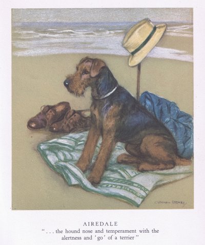 Airedale (kleurenlitho) door George Vernon Stokes