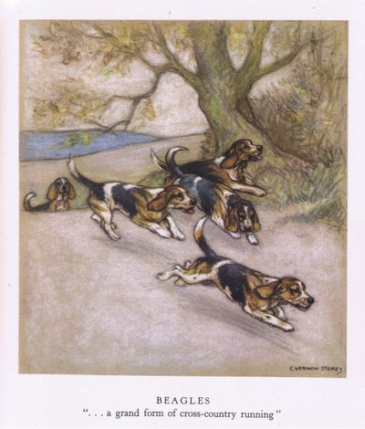 Beagles (kleurenlitho) door George Vernon Stokes