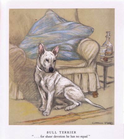 Bull Terrier (kleurenlitho) door George Vernon Stokes