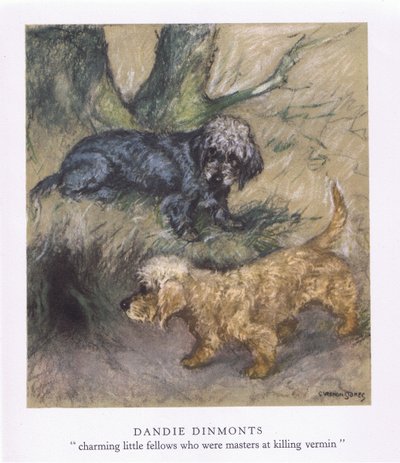 Dandie Dimonts (kleurenlitho) door George Vernon Stokes