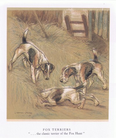 Fox Terriers (kleurenlitho) door George Vernon Stokes