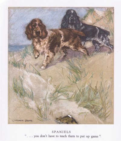 Spaniels (kleurenlitho) door George Vernon Stokes