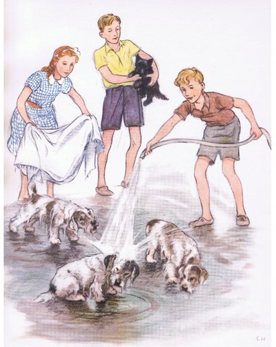 De honden wassen, van Pets Limited uitgegeven door Collins door George Vernon Stokes