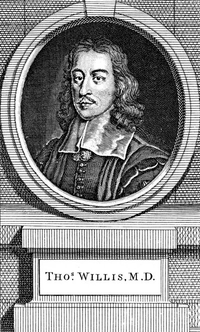 Thomas Willis, 17e eeuwse Engelse arts, 1742 door George Vertue