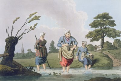 Bloedzuigerzoekers, uit 